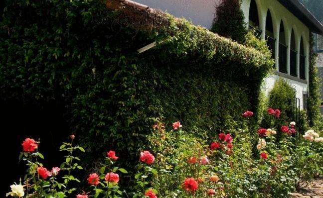 Spanish Villa Inn Света Елена Екстериор снимка